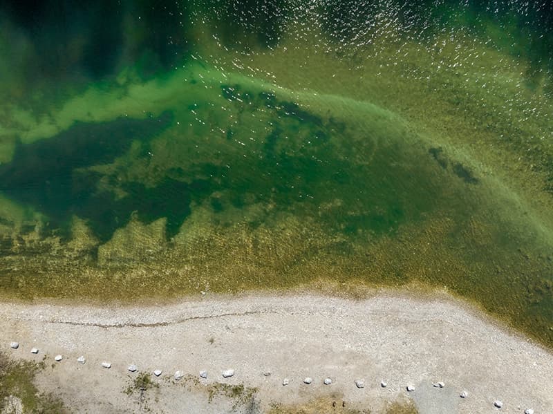 Eutrophication