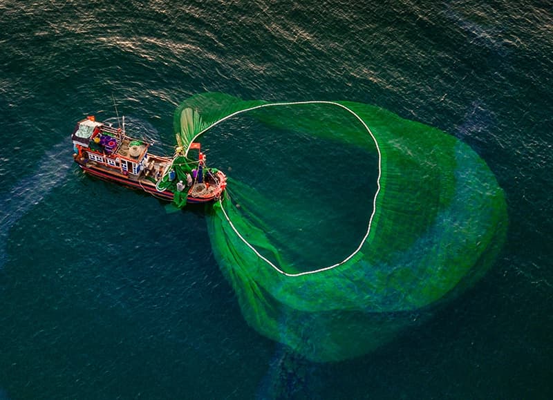 Unsustainable fishing practices