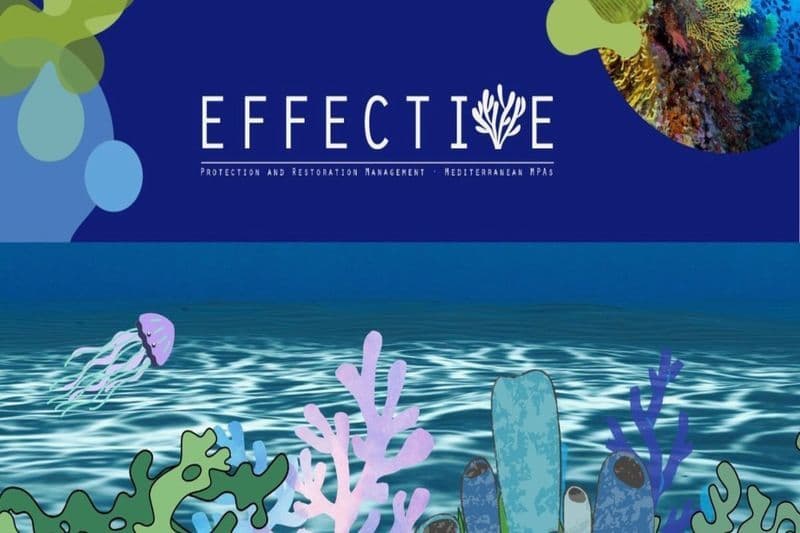 EFFECTIVE